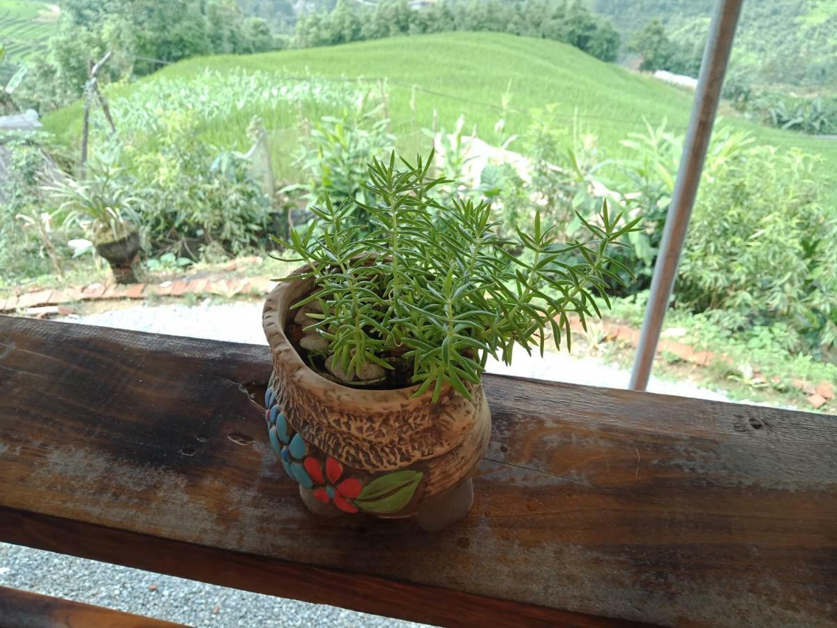 My'S Homestay Sapa מראה חיצוני תמונה