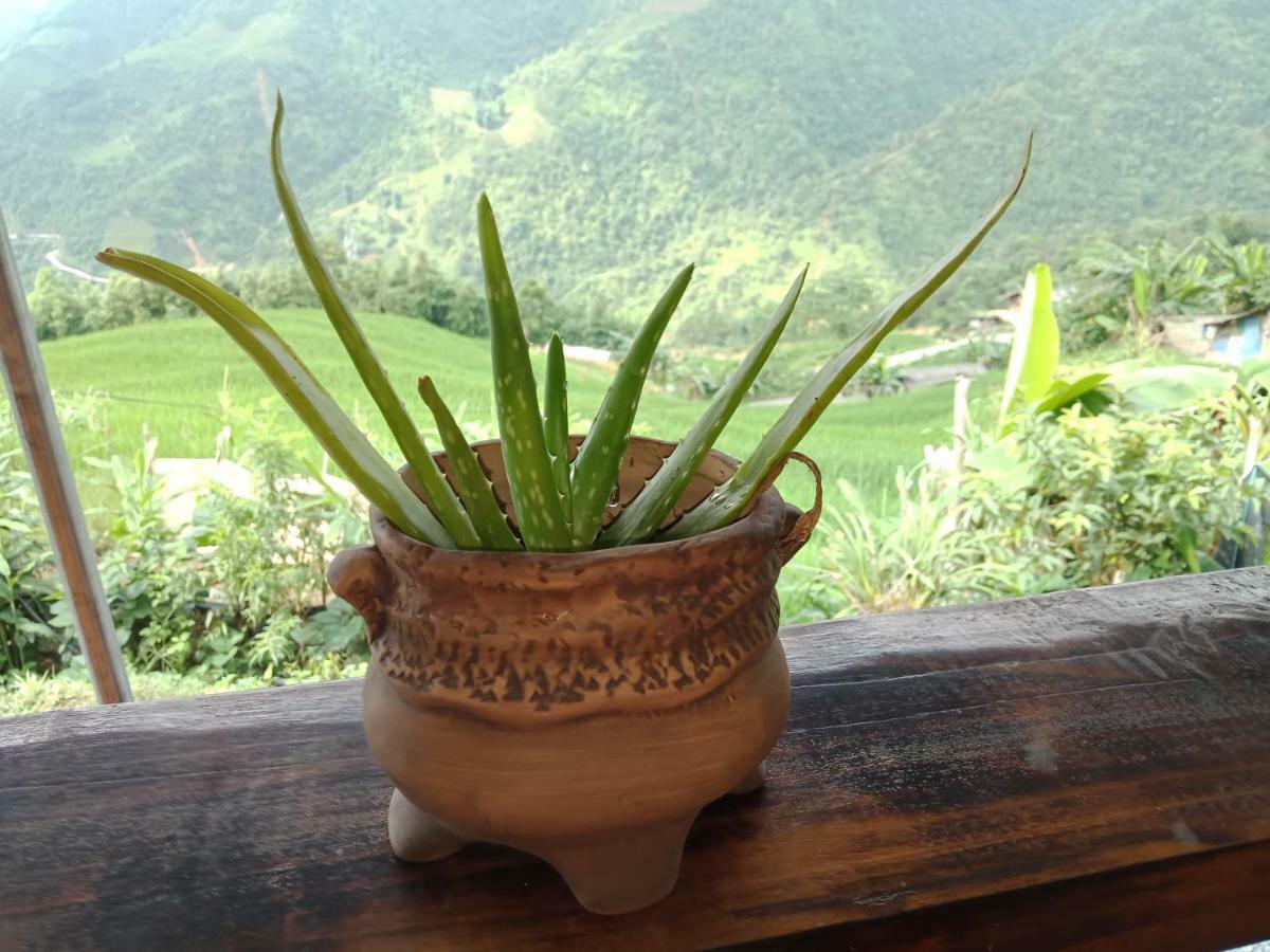 My'S Homestay Sapa מראה חיצוני תמונה